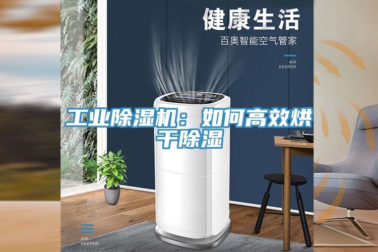 工業除濕機：如何高效烘干除濕