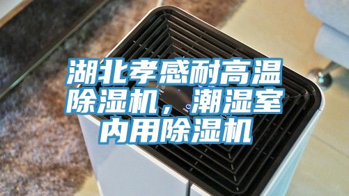 湖北孝感耐高溫除濕機，潮濕室內用除濕機