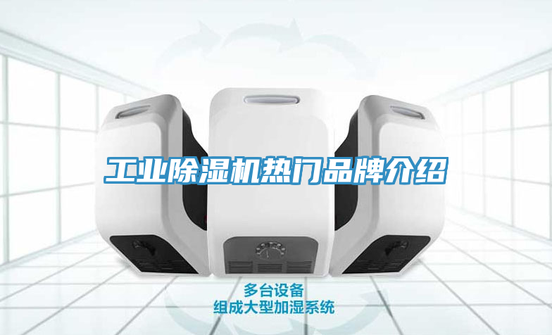 工業除濕機熱門品牌介紹