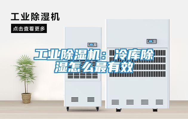 工業除濕機：冷庫除濕怎么最有效