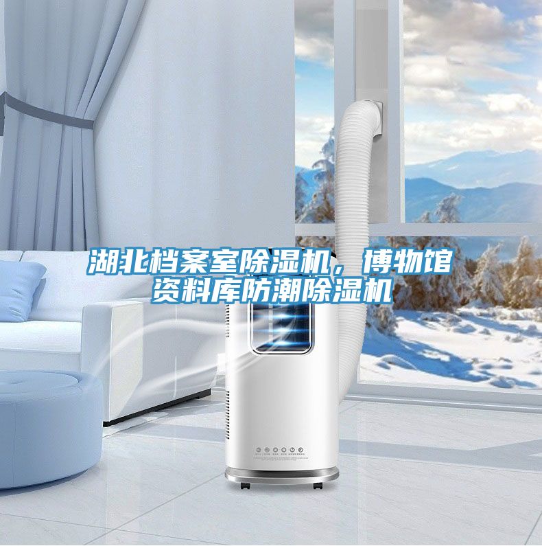 湖北檔案室除濕機，博物館資料庫防潮除濕機