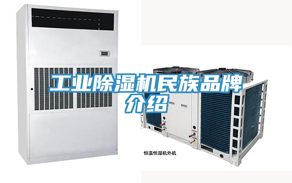工業除濕機民族品牌介紹