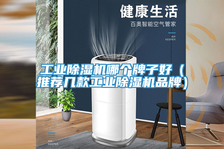 工業除濕機哪個牌子好（推薦幾款工業除濕機品牌）