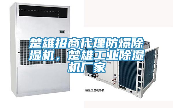 楚雄招商代理防爆除濕機，楚雄工業除濕機廠家