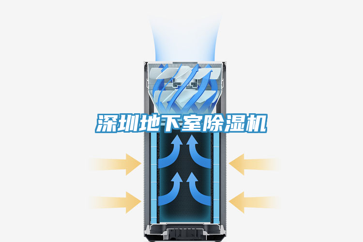 深圳地下室除濕機