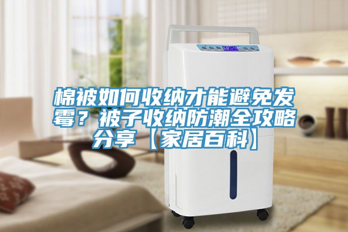 棉被如何收納才能避免發(fā)霉？被子收納防潮全攻略分享【家居百科】