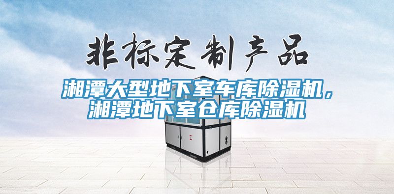 湘潭大型地下室車(chē)庫(kù)除濕機(jī)，湘潭地下室倉(cāng)庫(kù)除濕機(jī)