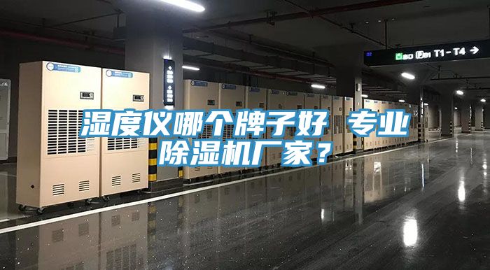 濕度儀哪個牌子好 專業除濕機廠家？