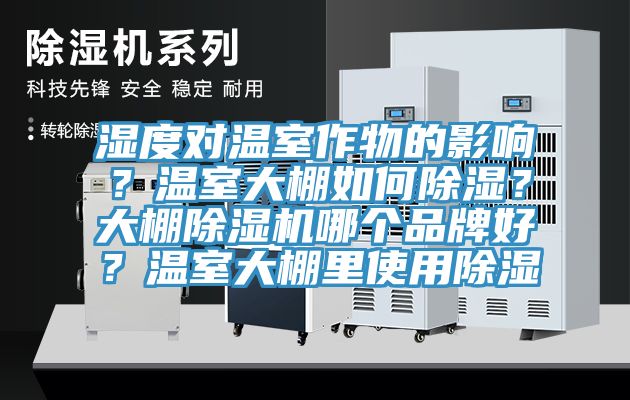 濕度對溫室作物的影響？溫室大棚如何除濕？大棚除濕機哪個品牌好？溫室大棚里使用除濕