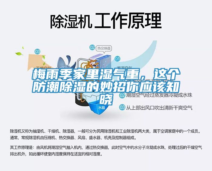 梅雨季家里濕氣重，這個防潮除濕的妙招你應該知曉