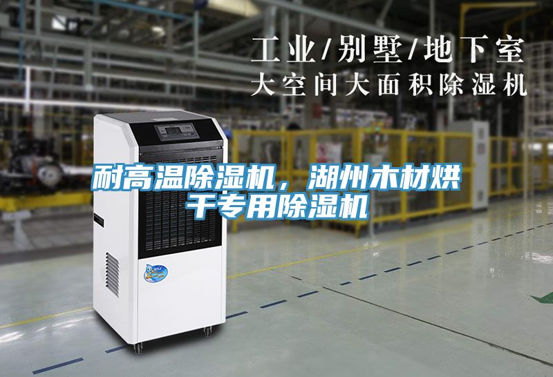 耐高溫除濕機，湖州木材烘干專用除濕機