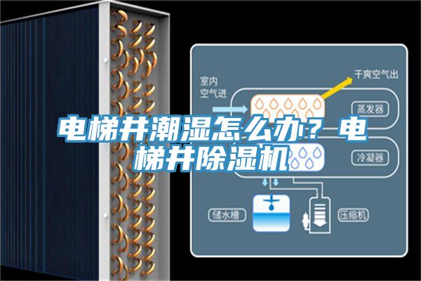 電梯井潮濕怎么辦？電梯井除濕機