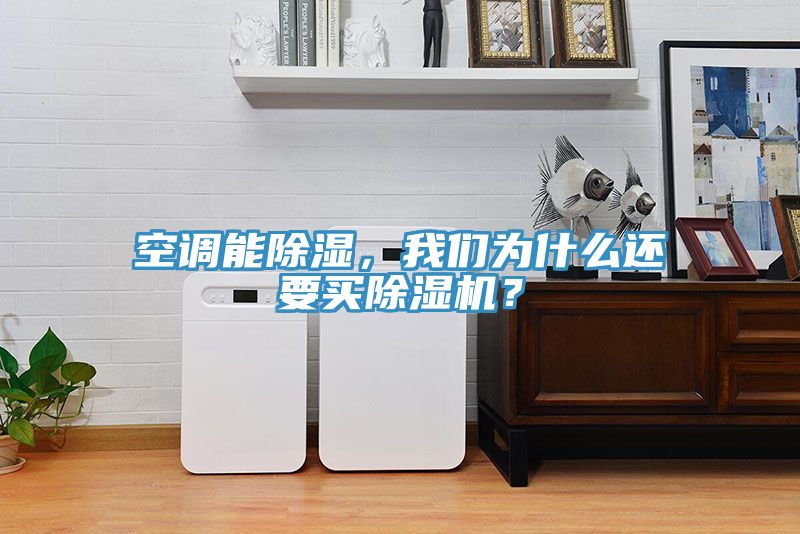 空調能除濕，我們為什么還要買除濕機？