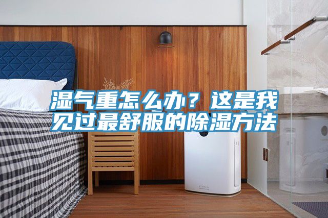 濕氣重怎么辦？這是我見過最舒服的除濕方法