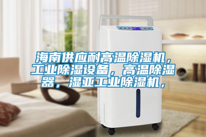 海南供應(yīng)耐高溫除濕機，工業(yè)除濕設(shè)備，高溫除濕器，濕亞工業(yè)除濕機，