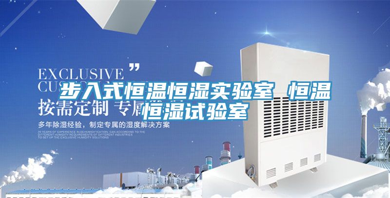 步入式恒溫恒濕實(shí)驗室 恒溫恒濕試驗室
