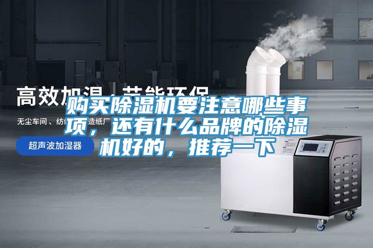 購買除濕機(jī)要注意哪些事項(xiàng)，還有什么品牌的除濕機(jī)好的，推薦一下