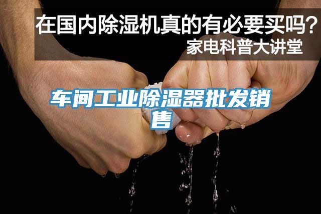 車間工業除濕器批發銷售