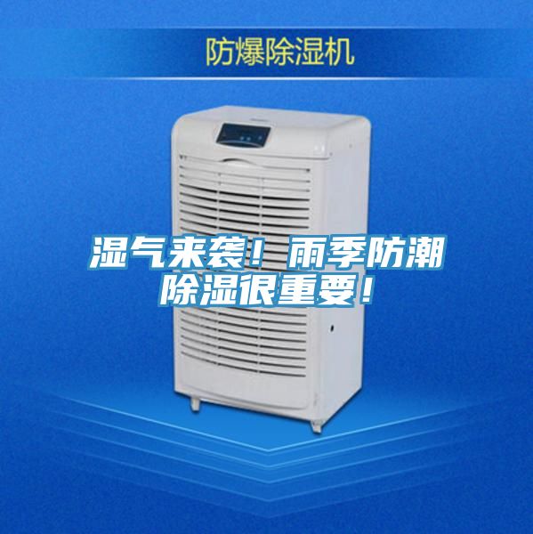 濕氣來(lái)襲！雨季防潮除濕很重要！