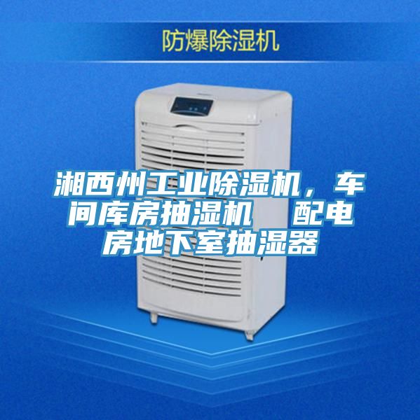湘西州工業(yè)除濕機(jī)，車(chē)間庫(kù)房抽濕機(jī)  配電房地下室抽濕器