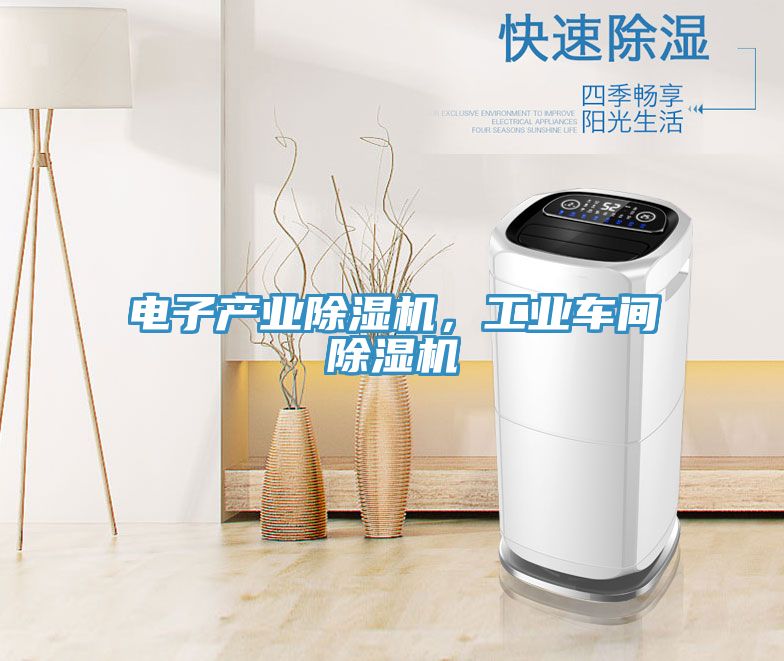 電子產(chǎn)業(yè)除濕機，工業(yè)車間除濕機