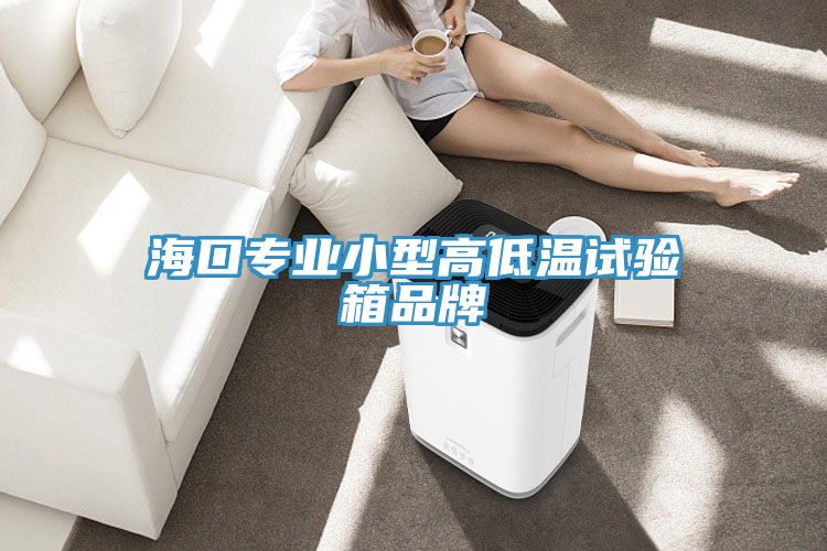 海口專業(yè)小型高低溫試驗箱品牌