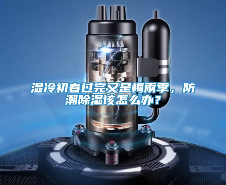 濕冷初春過(guò)完又是梅雨季，防潮除濕該怎么辦？
