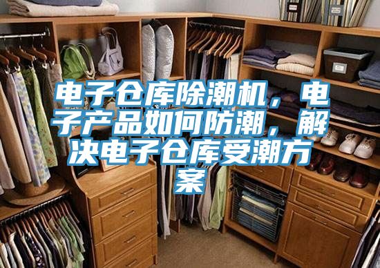 電子倉庫除潮機，電子產(chǎn)品如何防潮，解決電子倉庫受潮方案