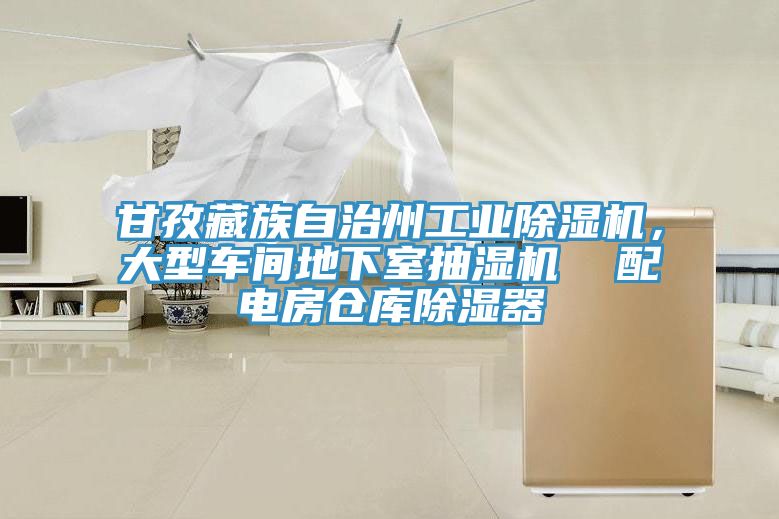甘孜藏族自治州工業(yè)除濕機，大型車間地下室抽濕機  配電房倉庫除濕器