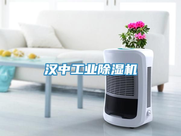 漢中工業除濕機