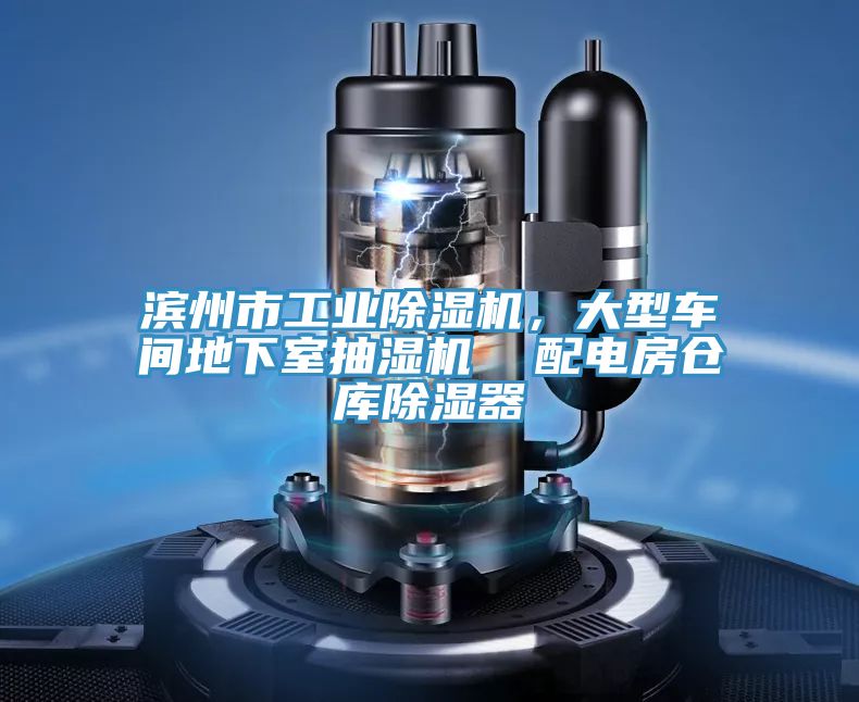 濱州市工業(yè)除濕機(jī)，大型車間地下室抽濕機(jī)  配電房倉(cāng)庫(kù)除濕器
