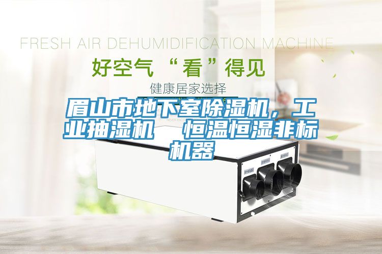 眉山市地下室除濕機，工業抽濕機  恒溫恒濕非標機器