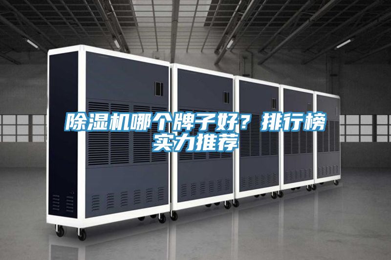 除濕機哪個牌子好？排行榜實力推薦