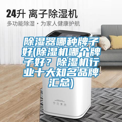 除濕器哪種牌子好(除濕機哪個牌子好？除濕機行業十大知名品牌匯總)