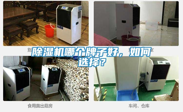 除濕機哪個牌子好，如何選擇？