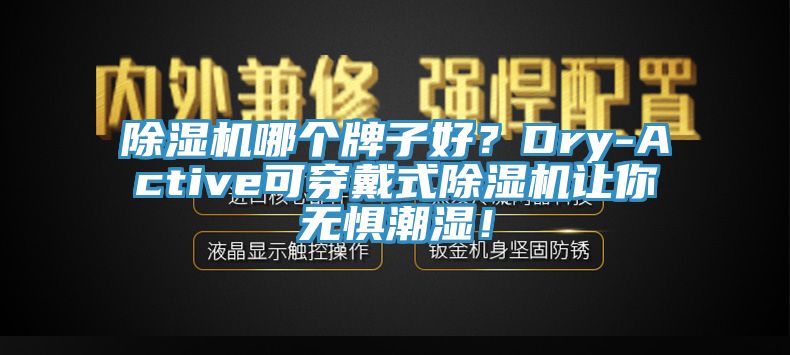 除濕機哪個牌子好？Dry-Active可穿戴式除濕機讓你無懼潮濕！