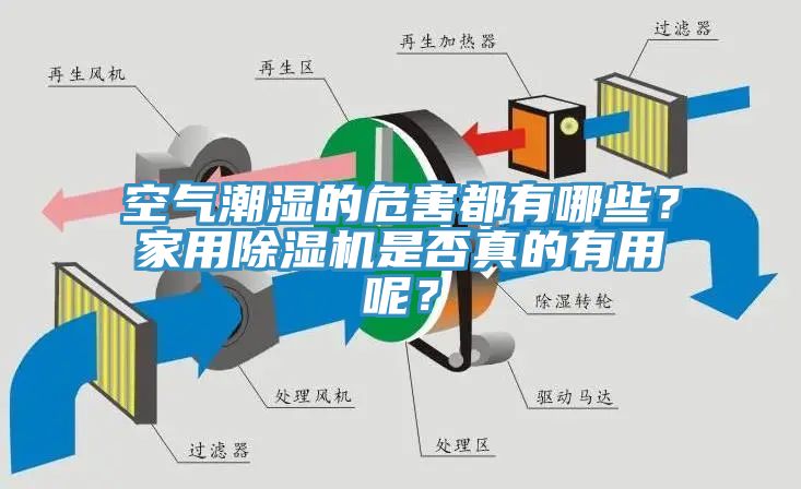 空氣潮濕的危害都有哪些？家用除濕機是否真的有用呢？