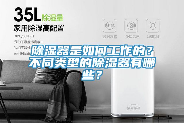 除濕器是如何工作的？不同類型的除濕器有哪些？