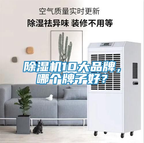 除濕機(jī)10大品牌，哪個(gè)牌子好？