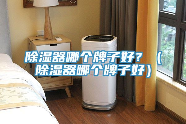 除濕器哪個牌子好？（除濕器哪個牌子好）
