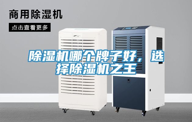除濕機哪個牌子好，選擇除濕機之王