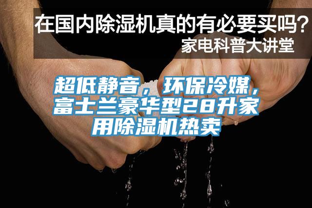 超低靜音，環(huán)保冷媒，富士蘭豪華型28升家用除濕機(jī)熱賣
