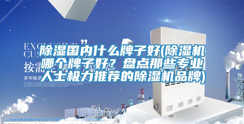 除濕國內什么牌子好(除濕機哪個牌子好？盤點那些專業人士極力推薦的除濕機品牌)