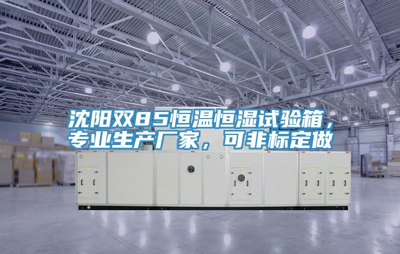 沈陽雙85恒溫恒濕試驗箱，專業(yè)生產(chǎn)廠家，可非標定做