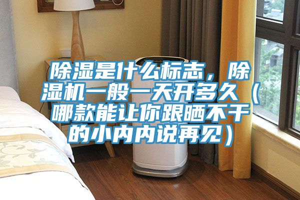 除濕是什么標志，除濕機一般一天開多久（哪款能讓你跟曬不干的小內內說再見）