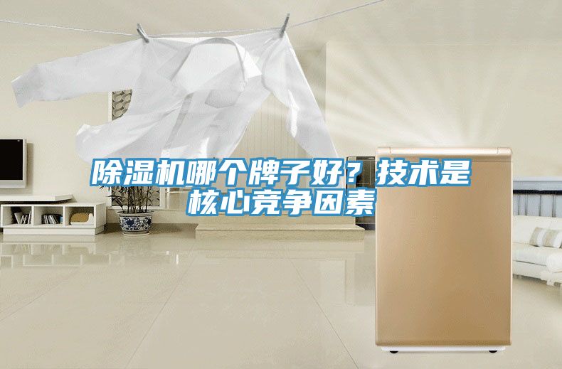 除濕機哪個牌子好？技術是核心競爭因素