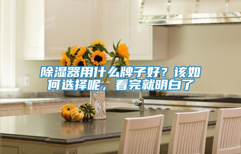 除濕器用什么牌子好？該如何選擇呢，看完就明白了