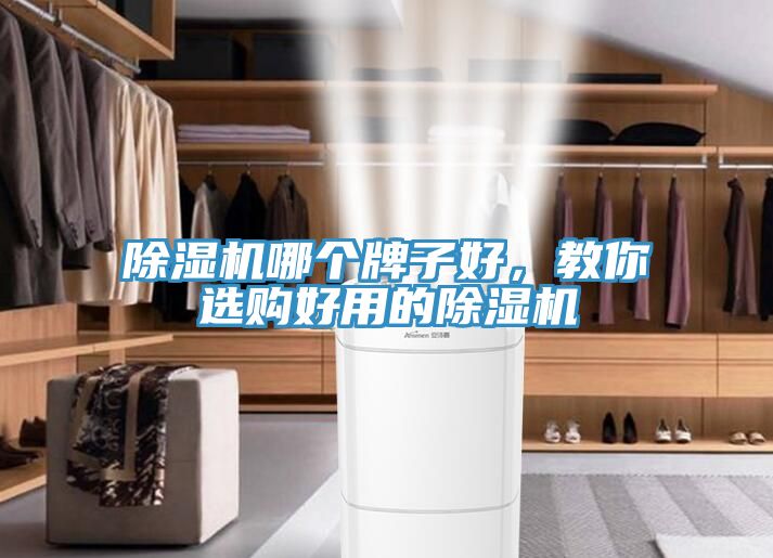 除濕機哪個牌子好，教你選購好用的除濕機