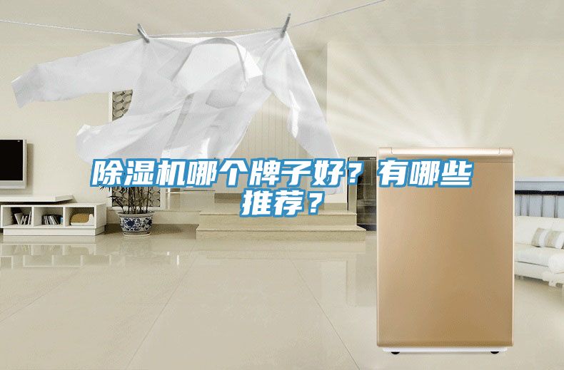 除濕機哪個牌子好？有哪些推薦？