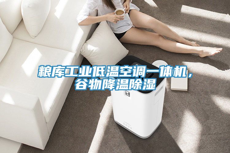 糧庫工業低溫空調一體機，谷物降溫除濕